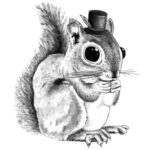 Mr. Squirrel