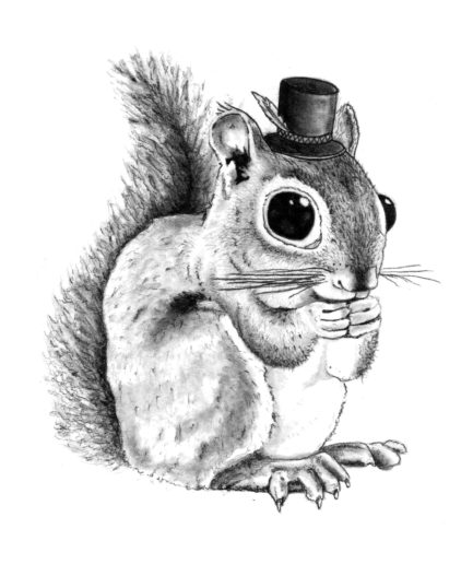 Mr. Squirrel